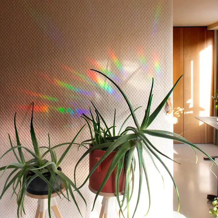 Rainbow maker sticker - You're made of magic