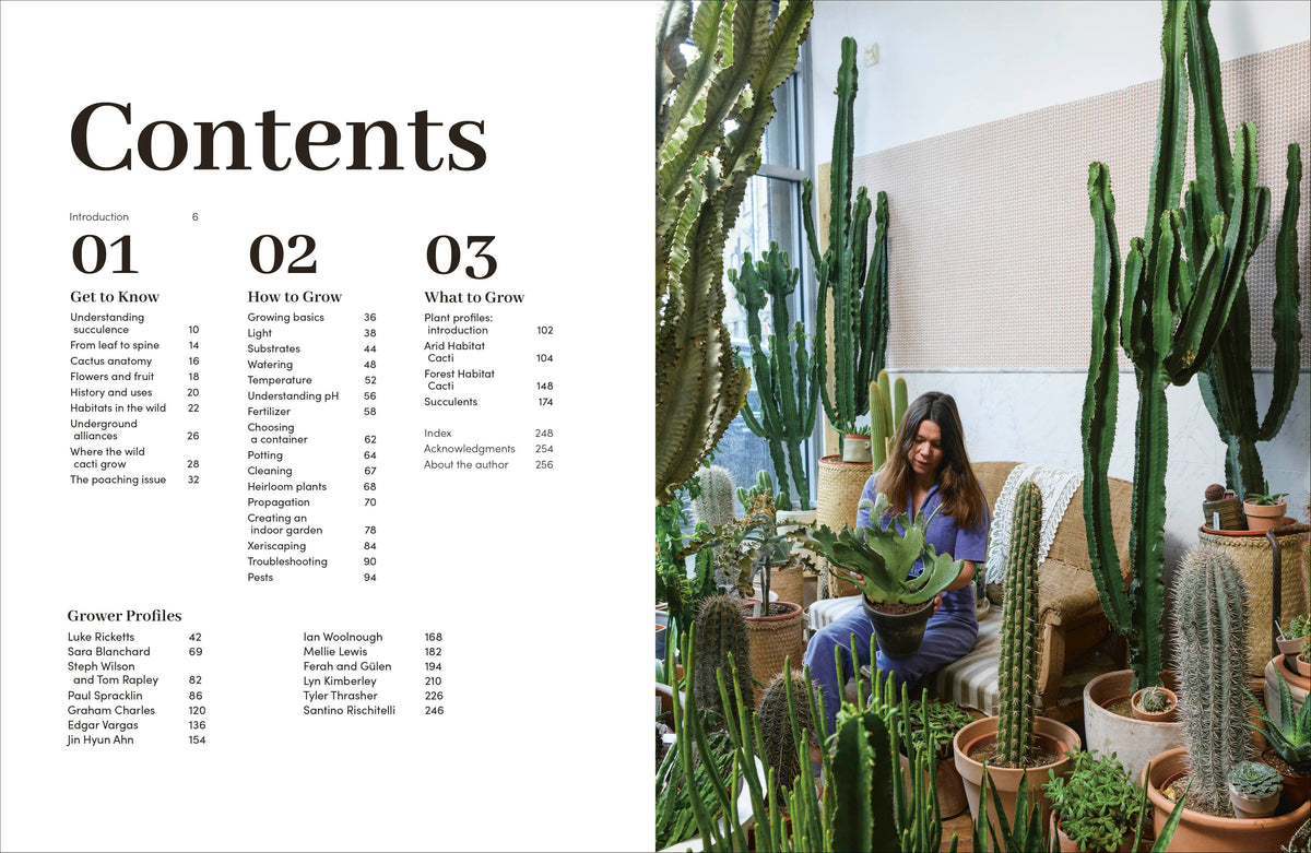 Cacti Succulents