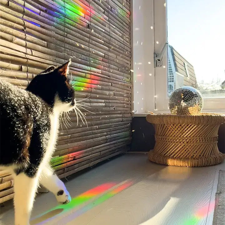 Rainbow maker sticker - You're made of magic