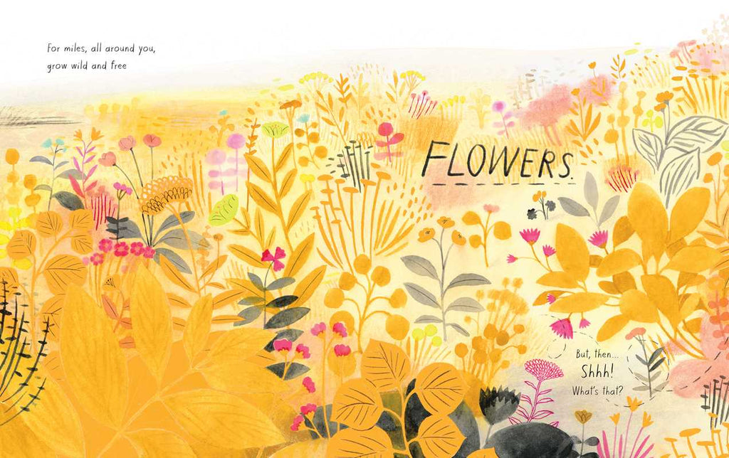 Honeybee by Kirsten Hall