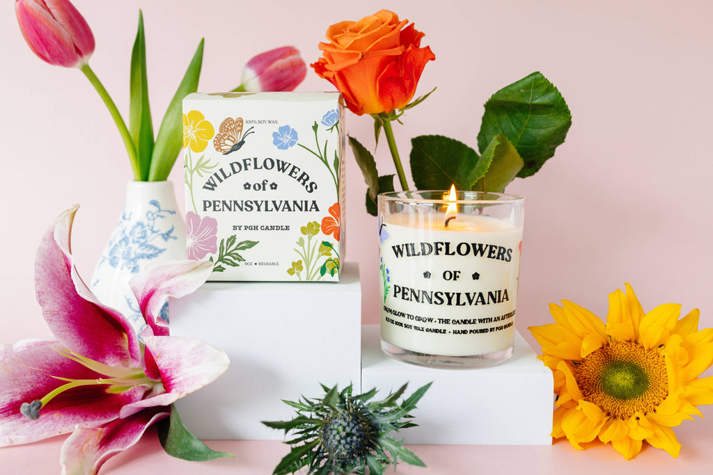 Wildflowers of Pennsylvania