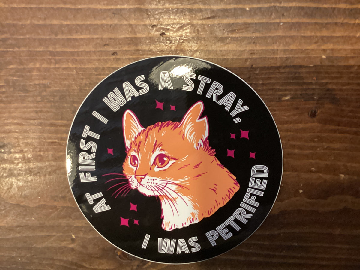 At First I Was a Stray