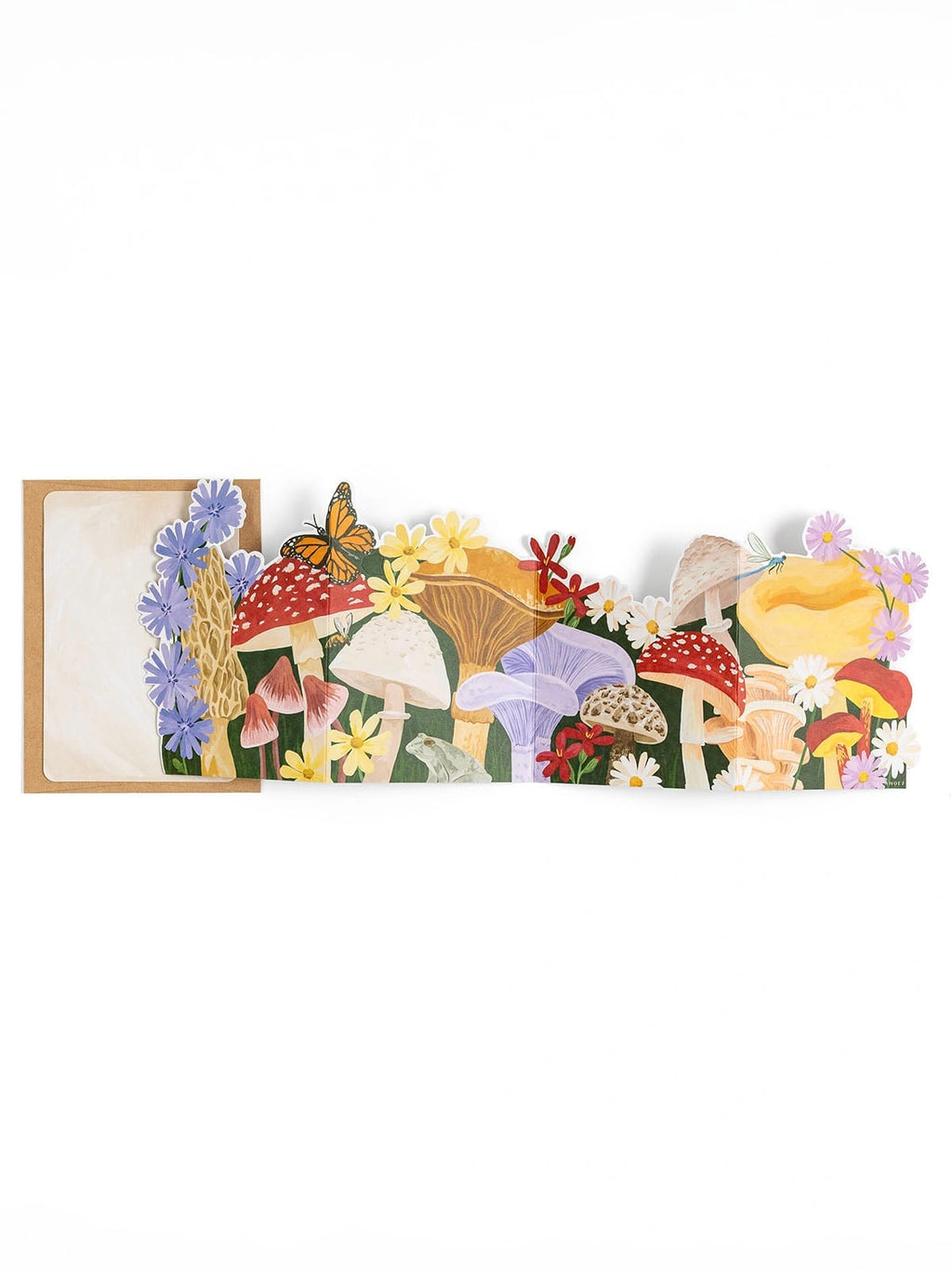 Forest Floor Mushrooms Accordion Greeting Card