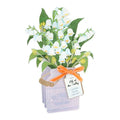 May Pop Up Birth Flower Card