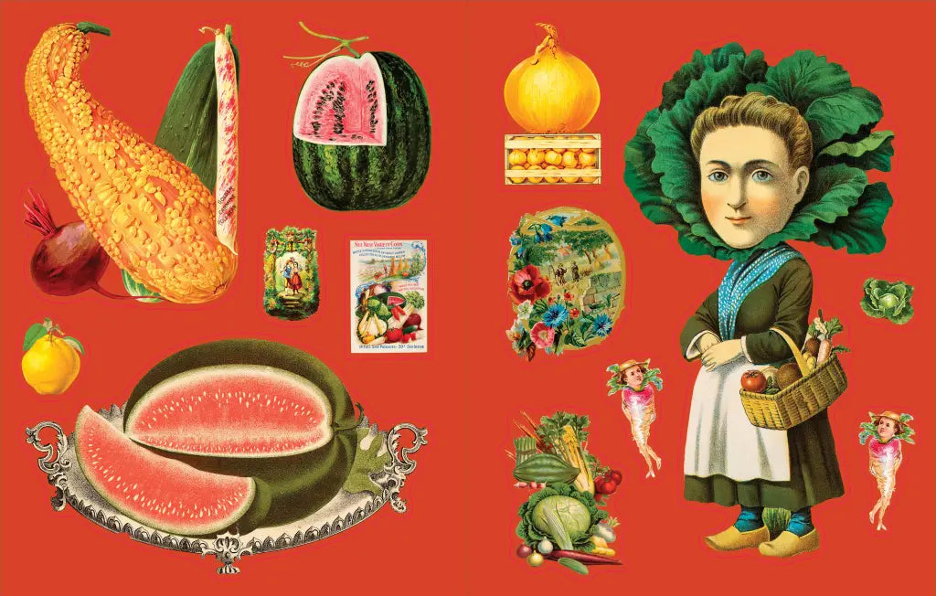 Cynthia Hart’s Victoriana Garden Delights The Sticker Book