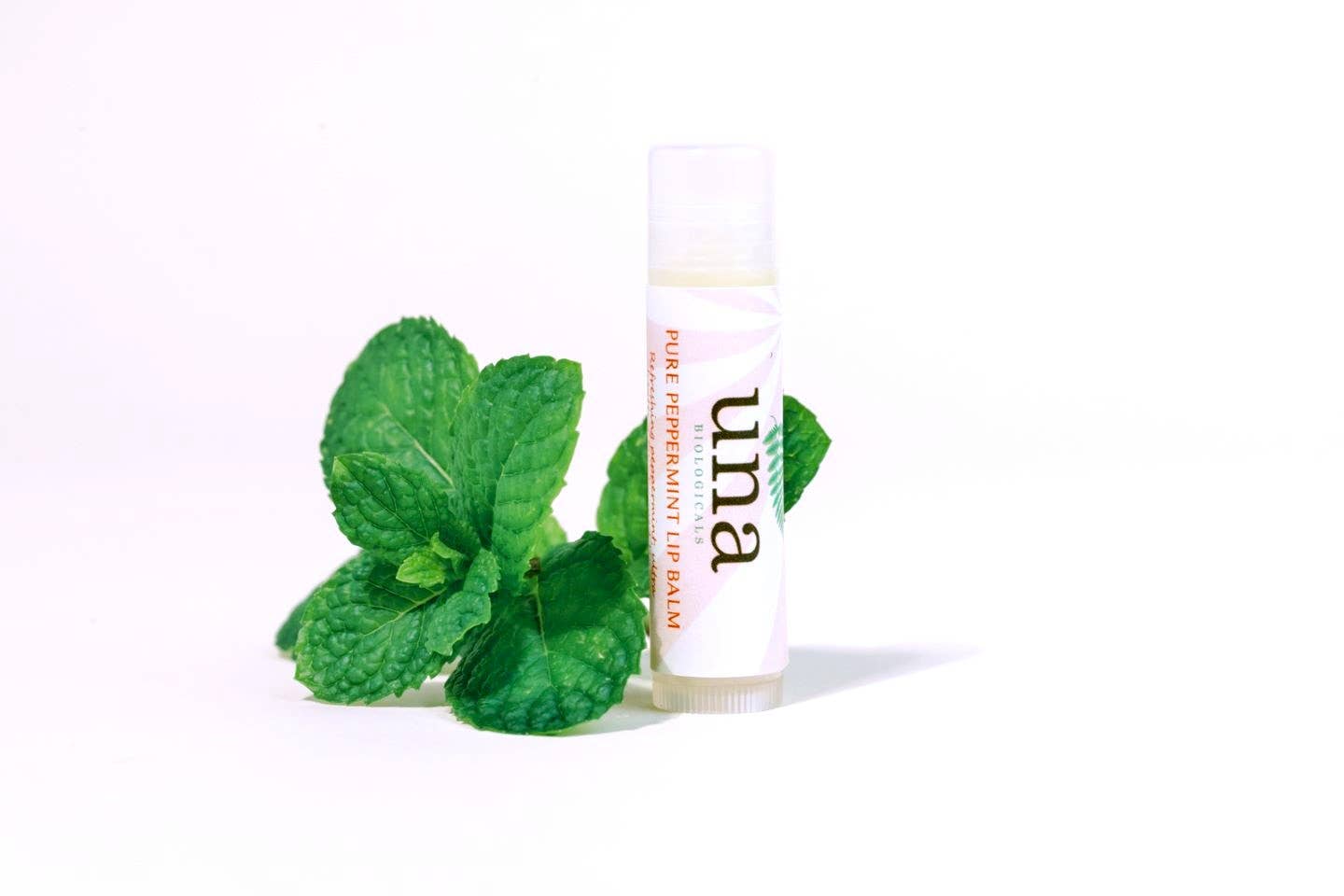 All Natural Lip Balm