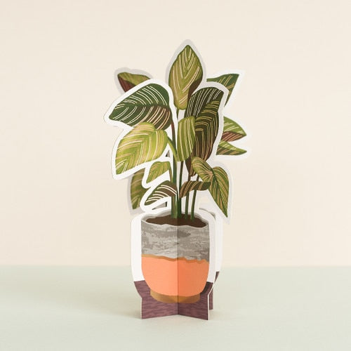 The Plant Shoppe Paper Plants