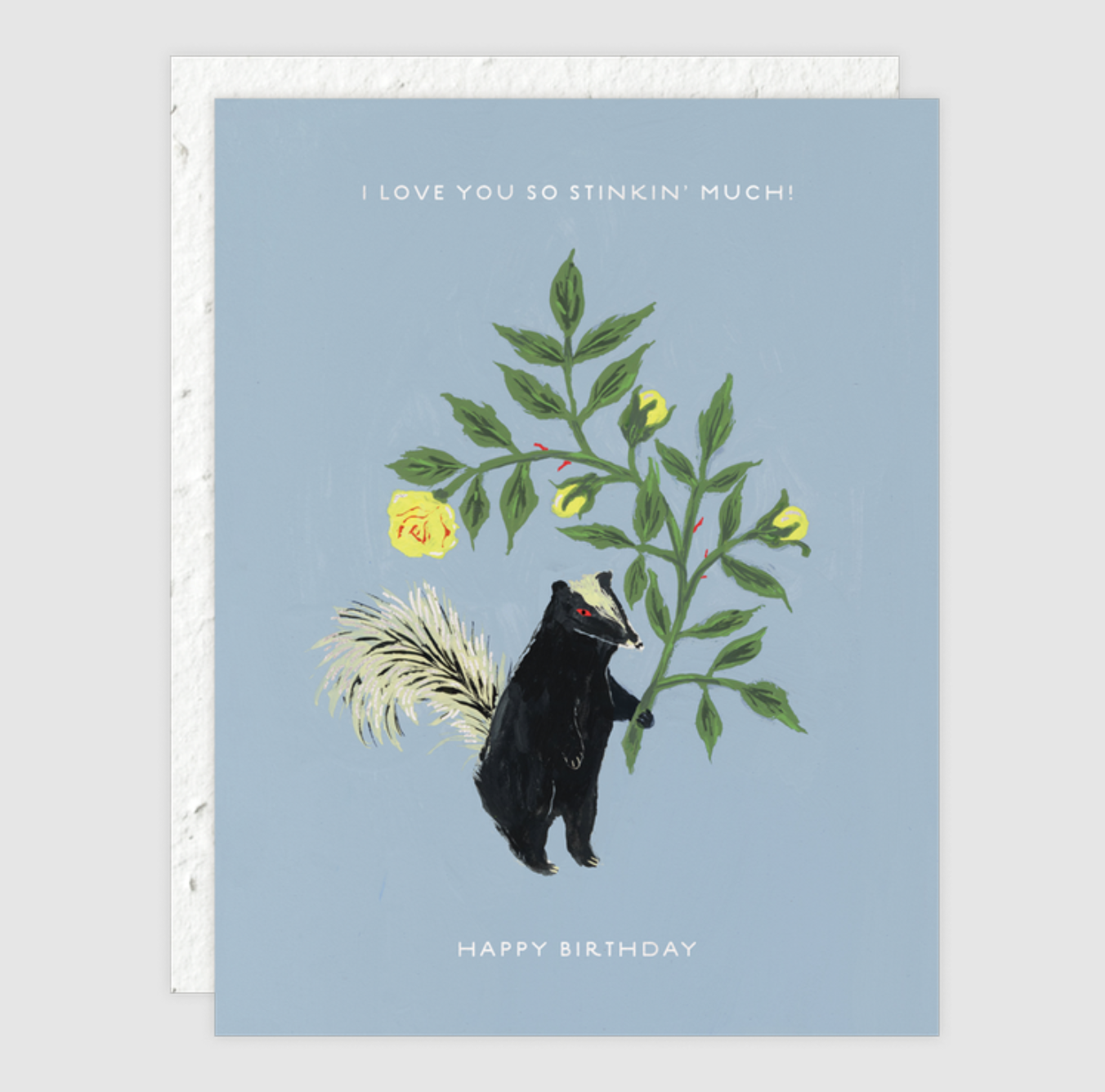 Birthday Stinker Card (with Plantable Envelope!)