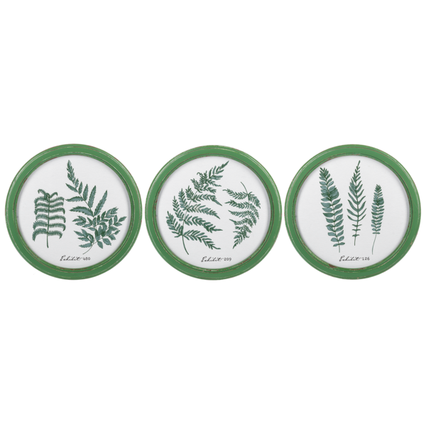 Round Fern Wall Decor in Distressed Green Frame (Assorted)
