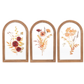 Arch Framed Pressed Flower Wall Decor (Assorted)