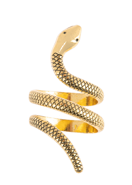 Gold Snake Napkin Ring