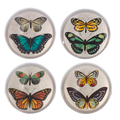 Butterfly Paperweight (Assorted)