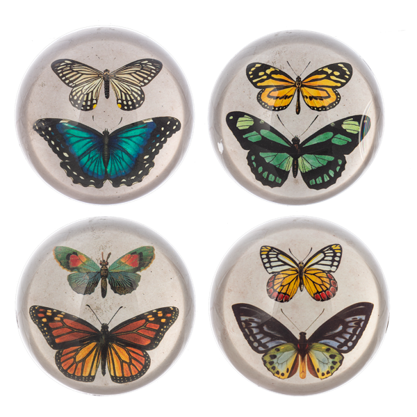 Butterfly Paperweight (Assorted)
