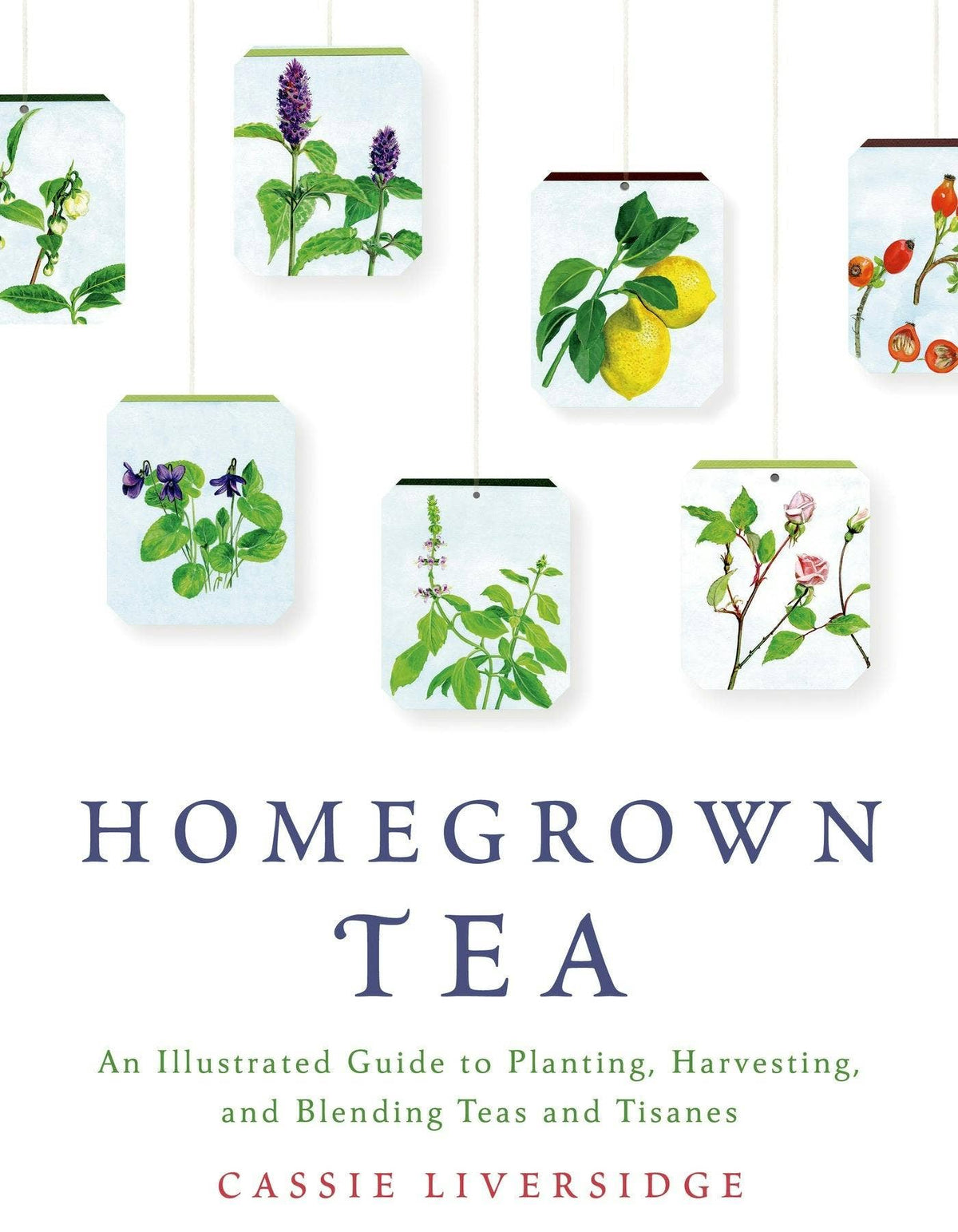 Homegrown Tea Guide To Planting, Harvesting & Blending Teas
