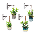 Mini Hanging Plant with Hook
