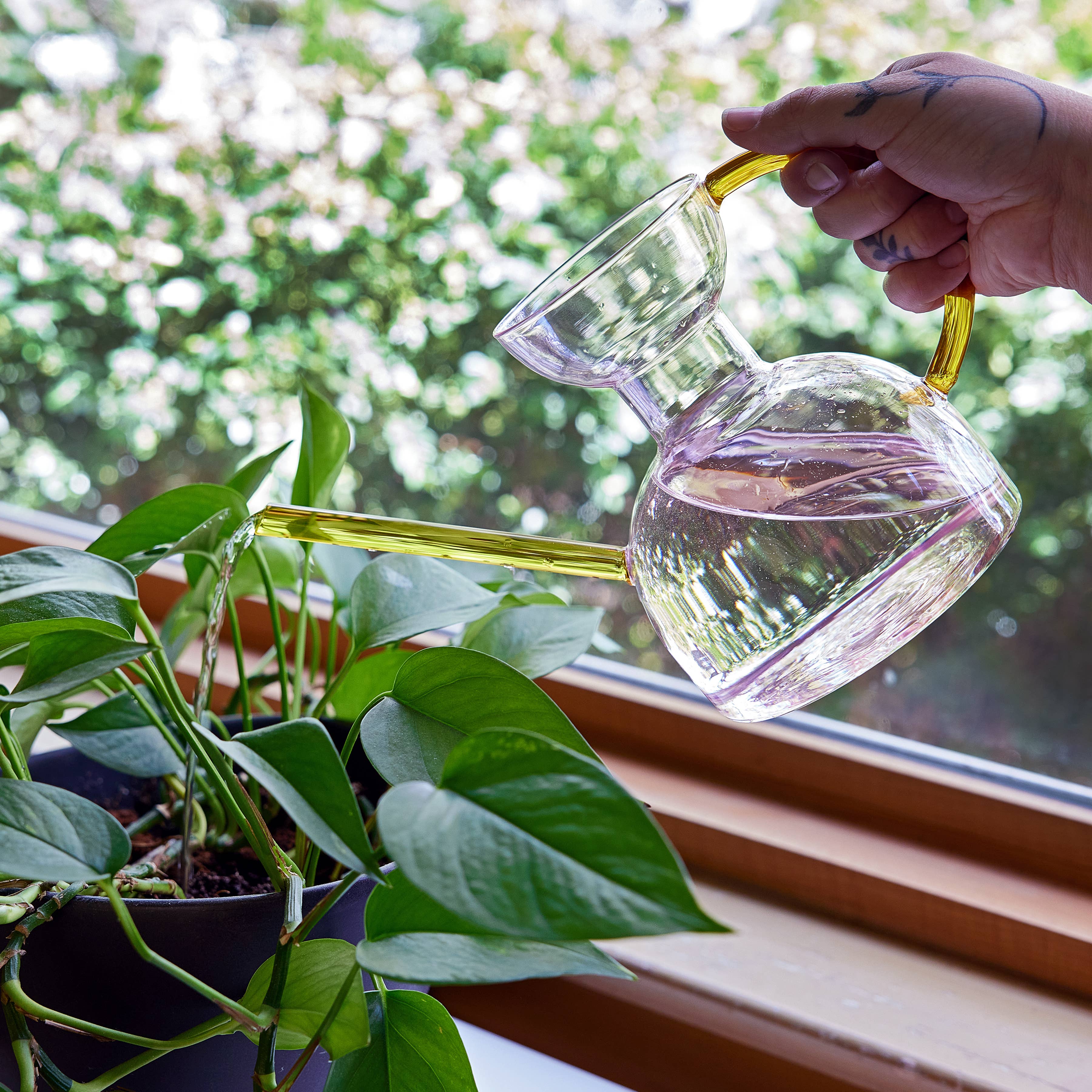 Glass Watering Can (32 fl.oz.)
