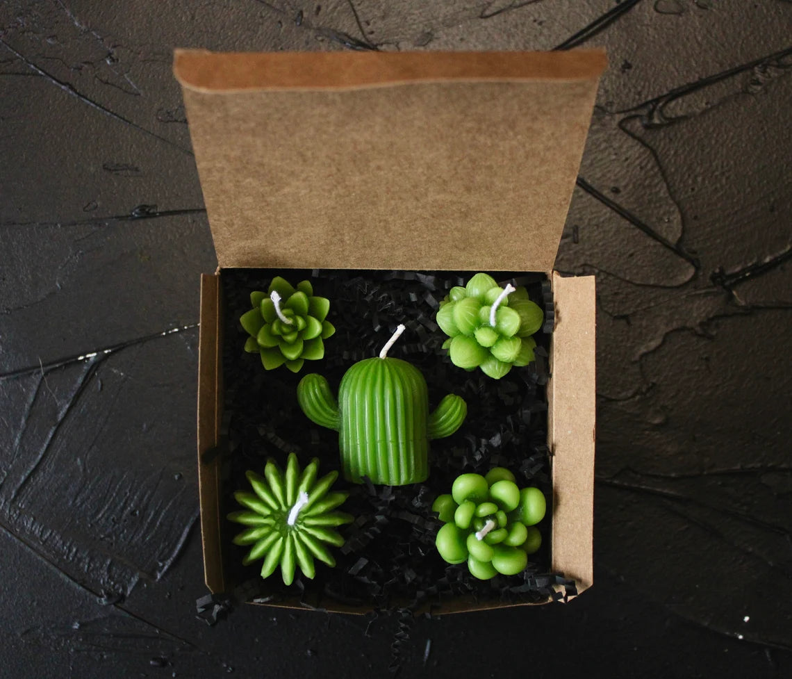 Succulent Candle Gift Set