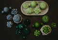 Succulent Candle Gift Set