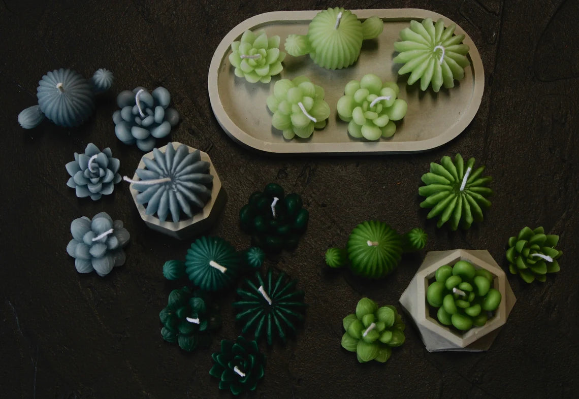 Succulent Candle Gift Set