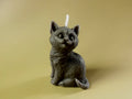 Black Cat Halloween Candle